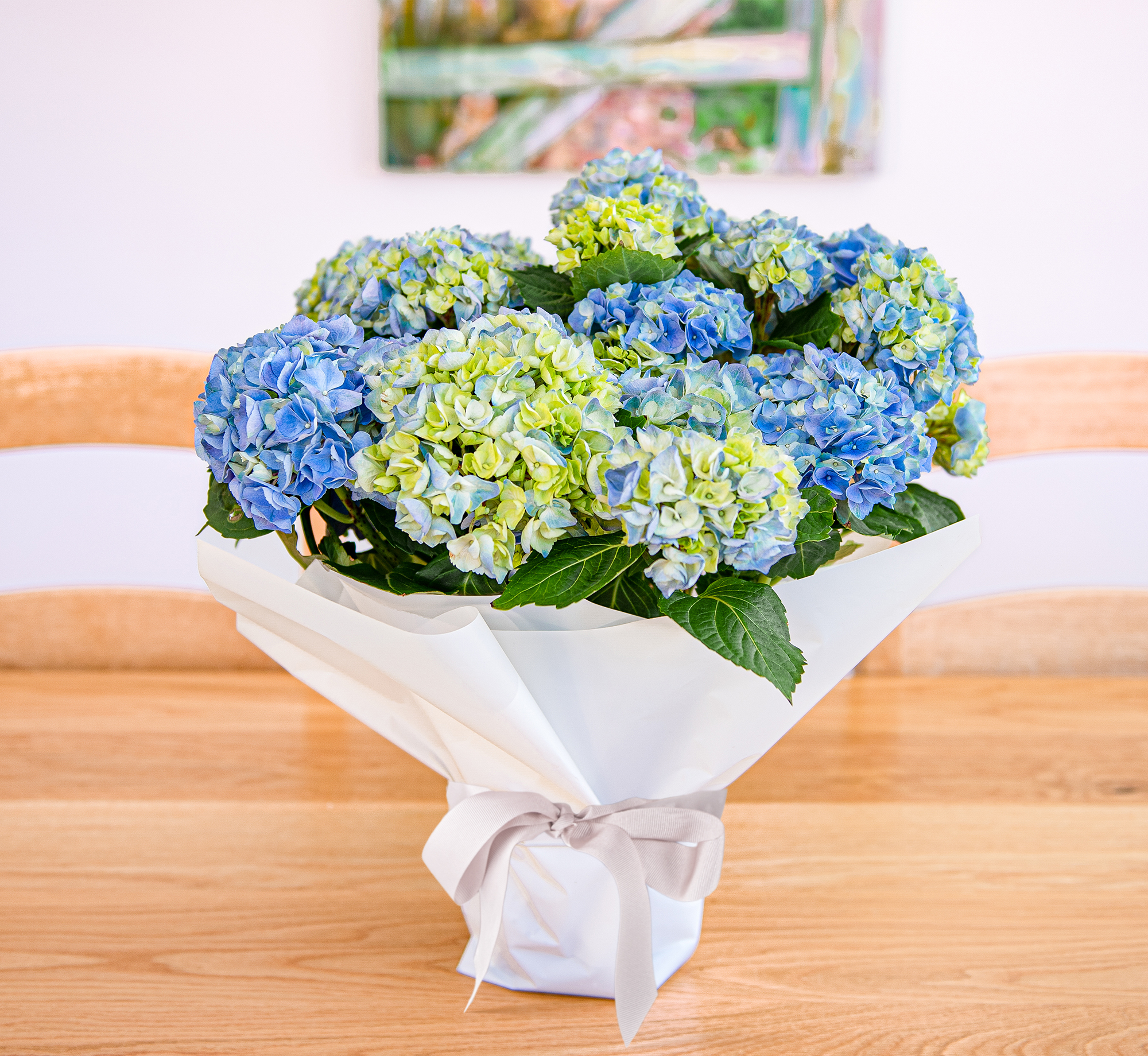 Summer Hydrangea