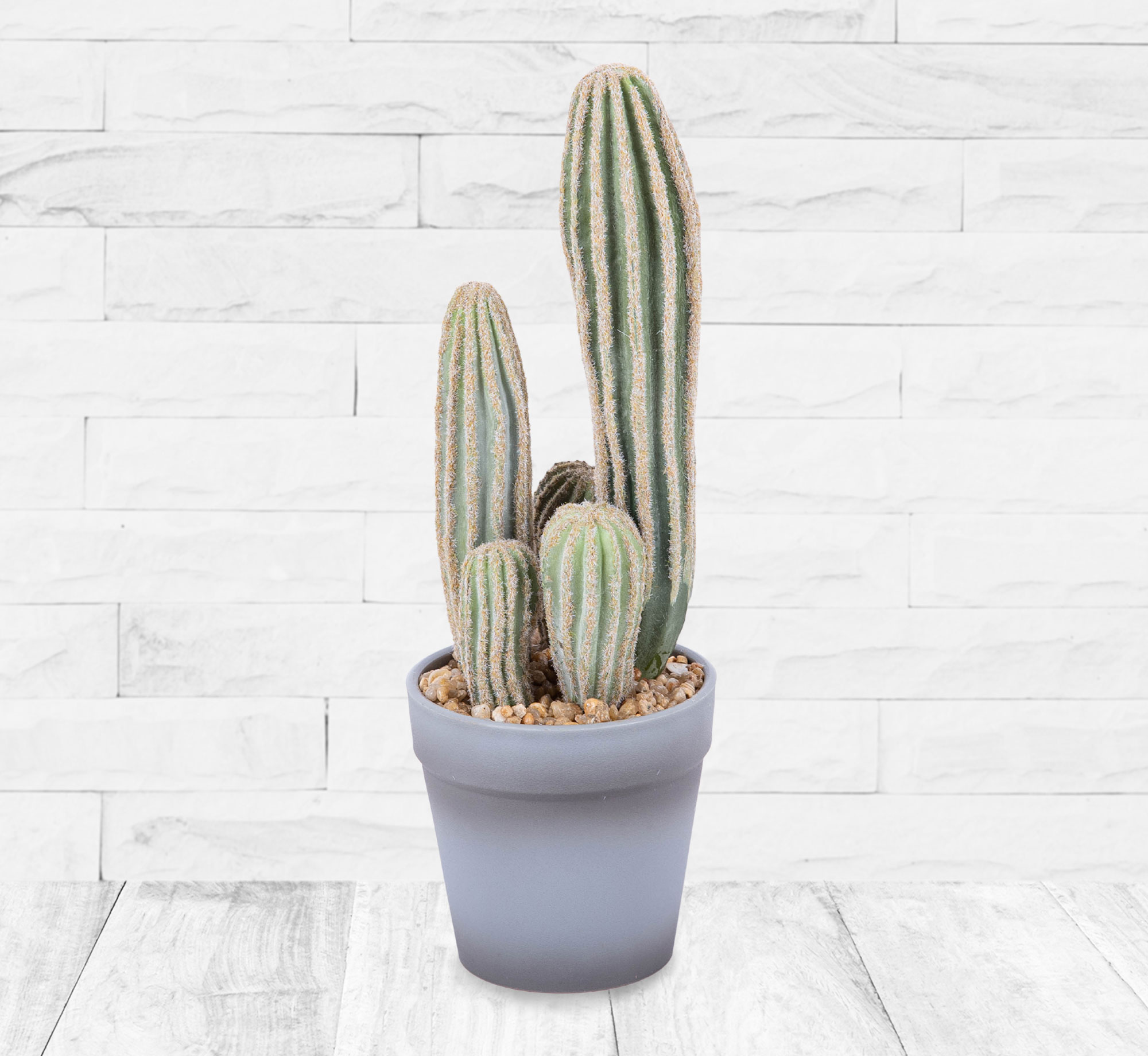 Beautiful Faux Cactus